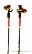 Leki WCR GS 3D Ski Poles, Leki, Red, , Male,Female,Unisex, 0012-10362, 5637829011, 4028173284313, N1-11.jpg