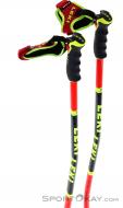 Leki WCR GS 3D Bâtons de ski, Leki, Rouge, , Hommes,Femmes,Unisex, 0012-10362, 5637829011, 4028173284313, N3-18.jpg