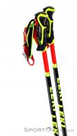 Leki WCR SL 3D Ski Poles, Leki, Rouge, , Hommes,Femmes,Unisex, 0012-10363, 5637829017, 4028173829781, N2-17.jpg