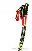Leki WCR SG/DH 3D Ski Poles, Leki, Red, , Male,Female,Unisex, 0012-10364, 5637829023, 4028173838462, N1-16.jpg