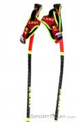 Leki WCR SG/DH 3D Ski Poles, Leki, Red, , Male,Female,Unisex, 0012-10364, 5637829023, 4028173838462, N2-12.jpg