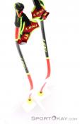 Leki WCR SG/DH 3D Ski Poles, Leki, Red, , Male,Female,Unisex, 0012-10364, 5637829023, 4028173838462, N4-09.jpg