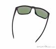 Alpina Nacan III Q-Lite Sunglasses, Alpina, Gray, , Male,Female,Unisex, 0027-10170, 5637834829, 4003692301789, N3-13.jpg