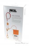 Petzl Rad System Accessoires d'alpiniste, Petzl, Orange, , , 0074-10364, 5637836871, 3342540832626, N2-02.jpg