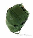 Osprey Soelden 22l Backpack, Osprey, Green, , Male,Female,Unisex, 0149-10280, 5637840931, 843820102321, N4-04.jpg