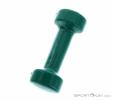 Sports Factory Factory 1,5kg Dumbbell, Sports Factory, Turquoise, , , 0351-10005, 5637841552, 0, N4-09.jpg