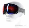 Alpina Phoes QHM Ski Goggles, Alpina, Gray, , Male,Female,Unisex, 0027-10184, 5637841559, 4003692288738, N1-06.jpg