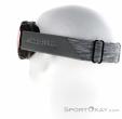 Alpina Phoes QHM Ski Goggles, Alpina, Gray, , Male,Female,Unisex, 0027-10184, 5637841559, 4003692288738, N1-11.jpg