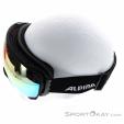 Alpina Big Horn QVM Ski Goggles, , Black, , Male,Female,Unisex, 0027-10186, 5637841574, , N3-08.jpg