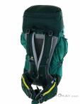 Deuter Futura Pro 36l Backpack, , Green, , Male,Female,Unisex, 0078-10491, 5637853660, , N2-12.jpg