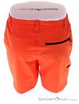 Icepeak Berwyn Mens Outdoor Shorts, , Orange, , Male, 0041-10449, 5637859841, , N3-13.jpg