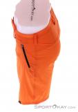 Salewa Talveno DST Mens Outdoor Shorts, , Orange, , Male, 0032-10933, 5637861544, , N3-08.jpg