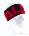 Salewa Pedroc 2 Dry Lite Headband, Salewa, Purple, , Male,Female,Unisex, 0032-10944, 5637863420, 4053866105422, N2-02.jpg