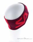 Salewa Pedroc 2 Dry Lite Headband, , Purple, , Male,Female,Unisex, 0032-10944, 5637863420, , N2-17.jpg