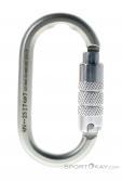 LACD Oval Trilock Steel Safe Lock Carabiner, LACD, Strieborná, , , 0301-10120, 5637868436, 4260569553669, N1-01.jpg
