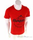 Bergans Graphic Wool Tee Mens T-Shirt, Bergans, Red, , Male, 0366-10020, 5637868780, 7031582138426, N2-02.jpg