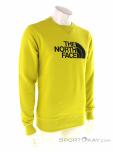 The North Face Drew Peak Crew Mens Sweater, The North Face, Light-Green, , Male, 0205-10449, 5637869455, 194901410348, N1-01.jpg