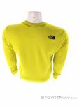 The North Face Drew Peak Crew Mens Sweater, The North Face, Light-Green, , Male, 0205-10449, 5637869455, 194901410348, N3-13.jpg