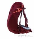 Salewa Alp Trainer 20l Women Backpack, , Red, , Female, 0032-10808, 5637872310, , N1-06.jpg