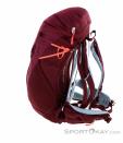 Salewa Alp Trainer 20l Women Backpack, , Red, , Female, 0032-10808, 5637872310, , N2-07.jpg