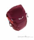 Salewa Alp Trainer 20l Women Backpack, , Red, , Female, 0032-10808, 5637872310, , N4-19.jpg