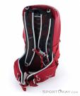Osprey Talon 22l Backpack, , Red, , Male,Female,Unisex, 0149-10298, 5637872588, , N2-12.jpg