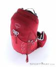 Osprey Talon 22l Backpack, , Red, , Male,Female,Unisex, 0149-10298, 5637872588, , N3-03.jpg