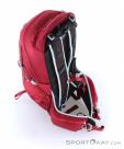 Osprey Talon 22l Backpack, , Red, , Male,Female,Unisex, 0149-10298, 5637872588, , N3-08.jpg