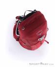Osprey Talon 22l Backpack, , Red, , Male,Female,Unisex, 0149-10298, 5637872588, , N4-19.jpg