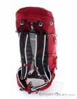 Osprey Talon 36l Backpack, , Red, , Male,Female,Unisex, 0149-10301, 5637872613, , N2-12.jpg