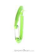 Salewa Hot G3 Wire Carabiner, , Green, , , 0032-10122, 5637875173, , N2-07.jpg