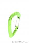 Salewa Hot G3 Wire Carabiner, Salewa, Green, , , 0032-10122, 5637875173, 4053866311540, N3-18.jpg