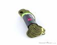 Edelrid Starling Protect Pro Dry 8,2mm 50m Climbing Rope, Edelrid, Yellow, , , 0084-10320, 5637876304, 4028545136745, N2-17.jpg