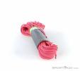 Edelrid Starling Pro Dry 8,2mm 60m Kletterseil, Edelrid, Pink-Rosa, , , 0084-10324, 5637876578, 4028545136219, N2-07.jpg