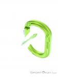 Edelrid Kiwi Slider-Lock Carabiner, , Light-Green, , , 0084-10357, 5637878535, , N3-13.jpg
