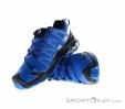 Salomon XA Pro D v8 GTX Mens Trail Running Shoes GTX, Salomon, Dark-Blue, , Male, 0018-11287, 5637879768, 193128570354, N1-06.jpg