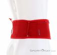 Salomon Sense Pro Belt Hip Bag, , Red, , Male,Female,Unisex, 0018-11504, 5637881845, , N1-16.jpg