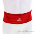 Salomon Pulse Belt Hip Bag, , Red, , Male,Female,Unisex, 0018-11505, 5637881876, , N2-02.jpg