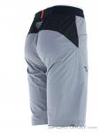 Dynafit Transalper Hybrid Shorts Mens Outdoor Shorts, , Light-Gray, , Male, 0015-11134, 5637884394, , N1-16.jpg