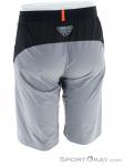 Dynafit Transalper Hybrid Shorts Mens Outdoor Shorts, , Light-Gray, , Male, 0015-11134, 5637884394, , N2-12.jpg