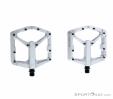 Crankbrothers Stamp 2 Flat Pedals, , Silver, , Unisex, 0158-10046, 5637884617, , N1-11.jpg