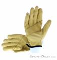 Beal Assure Max Glove Climbing Gloves, Beal, Brown, , Male,Female,Unisex, 0088-10098, 5637890114, 3700288218698, N1-11.jpg