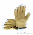 Beal Assure Glove Guantes para escalada, Beal, Marrón, , Hombre,Mujer,Unisex, 0088-10099, 5637890120, 3700288218735, N1-11.jpg