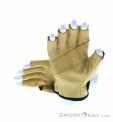Beal Assure Glove Climbing Gloves, Beal, Brown, , Male,Female,Unisex, 0088-10099, 5637890120, 3700288218735, N2-12.jpg
