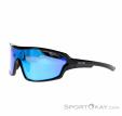 Alpina Lyron Shield P Sunglasses, Alpina, Blue, , Male,Female,Unisex, 0027-10163, 5637890381, 4003692286727, N1-06.jpg