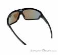 Alpina Lyron Shield P Sunglasses, Alpina, Blue, , Male,Female,Unisex, 0027-10163, 5637890381, 4003692286727, N2-12.jpg