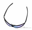 Alpina Lyron Shield P Sunglasses, Alpina, Blue, , Male,Female,Unisex, 0027-10163, 5637890381, 4003692286727, N4-04.jpg