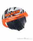 Maxxis Dissector EXO TR 3C MaxxTerra 29 x 2,40