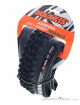 Maxxis Assegai EXO TR 3C MaxxTerra 2,50