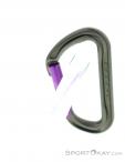 DMM Shadow Straight Gate Carabiner, , Purple, , Male,Female,Unisex, 0096-10210, 5637896944, , N2-12.jpg